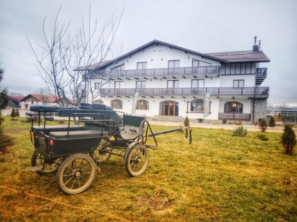 Complex Panicel Rîşnov Buitenkant foto